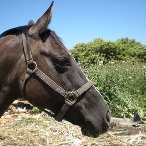 Meet your Posher, Suzanne